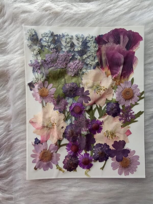 Pressed Flower (2)