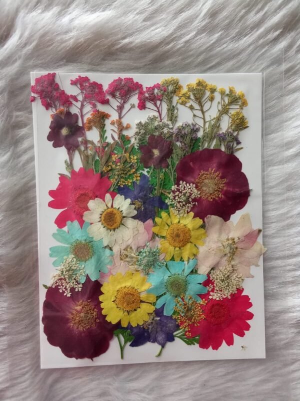 Pressed Flower (4)