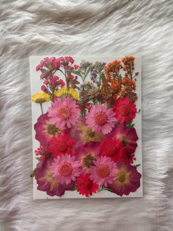 Pressed Flower (5)