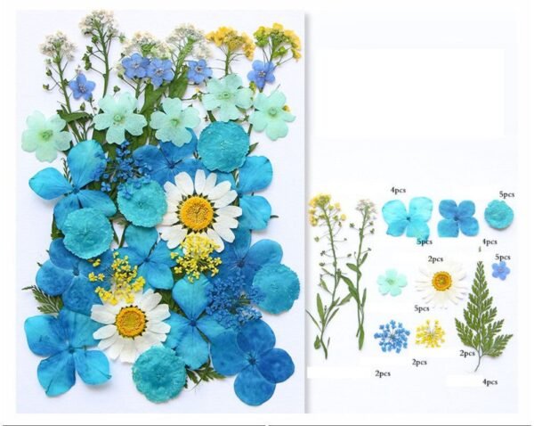 40 In 1 Pressed Flowers Fl167