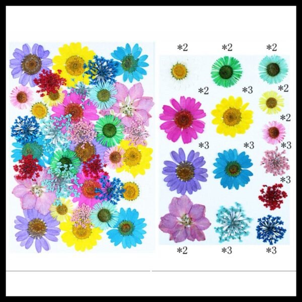 35 In One Pressed Flower ( FL166 )