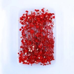 Red Baby Breath Dry Flower