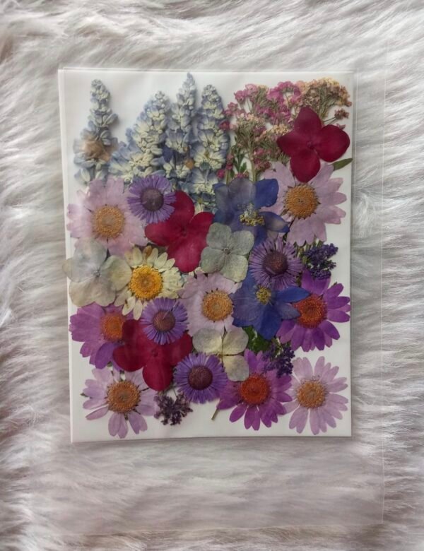 Pressed Flower (3)