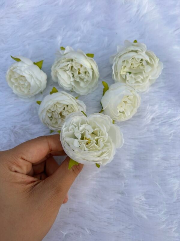 White Ornate Pione (6 Pc)