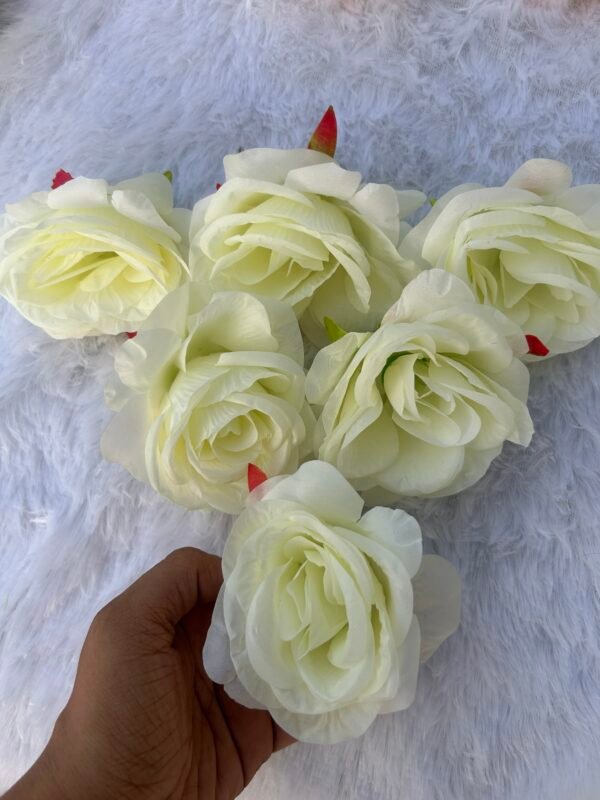 White Head Rose Flower(6PC)