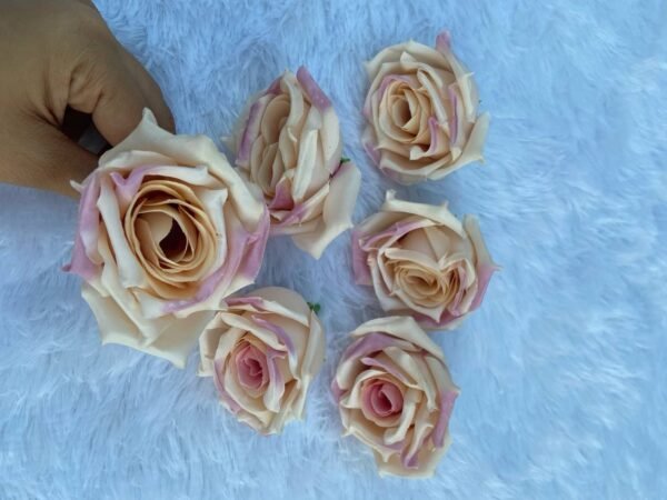 Purple Cream Dry Rose Flower(6 Pc)