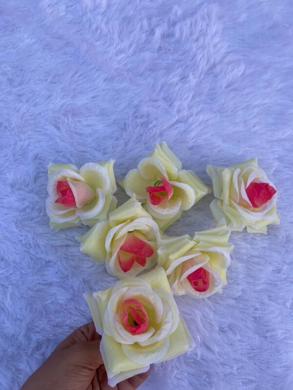 Cream Pink Daimond Rose(6Pc)