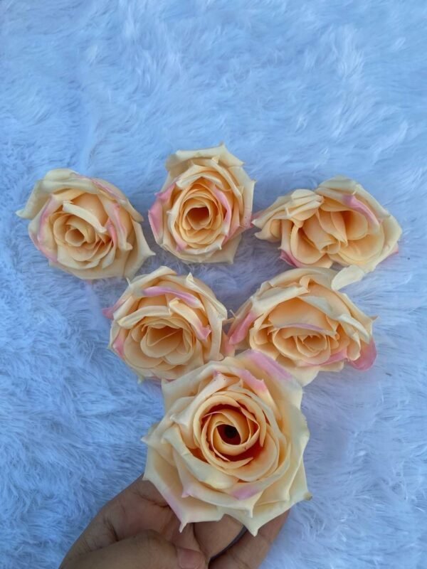 Peach Pink Dry Rose(6Pc)