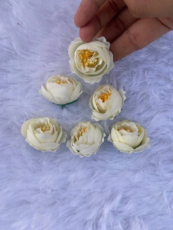 Off white Onion Flowers (6Pc)