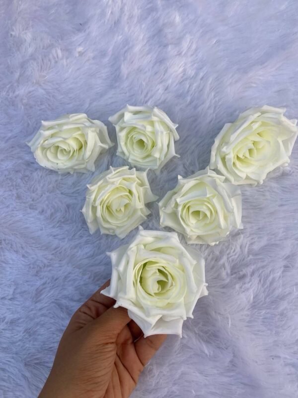 White Dry Rose Flower(6 Pc)