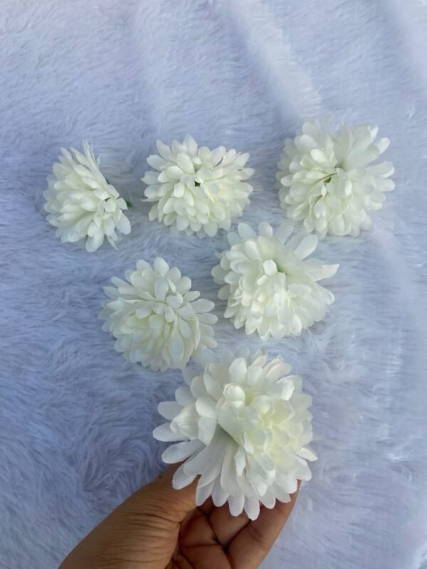 White Daliya Flower(6Pc)