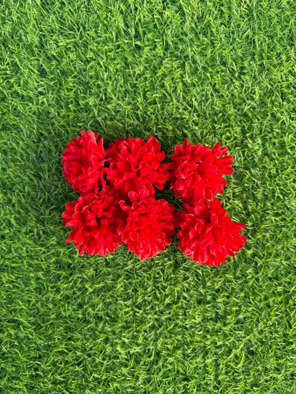 Red  Dahlia Flower(6pc)