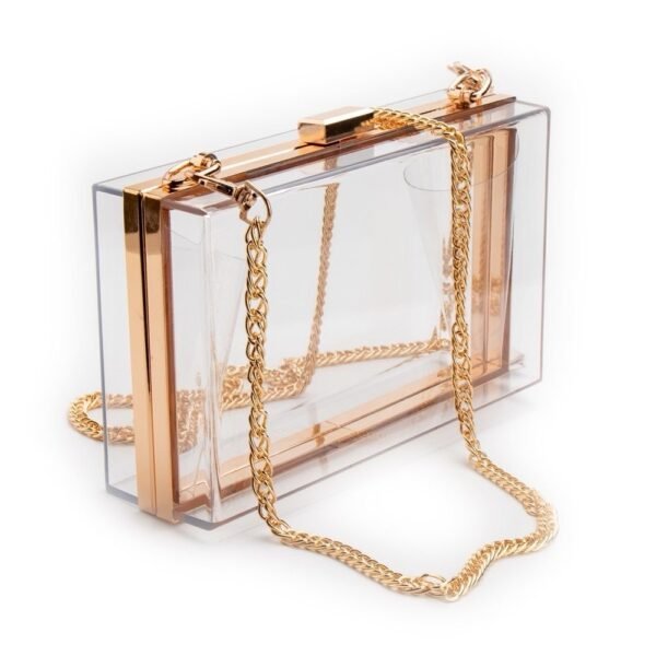Acrylic Transparent Clutch
