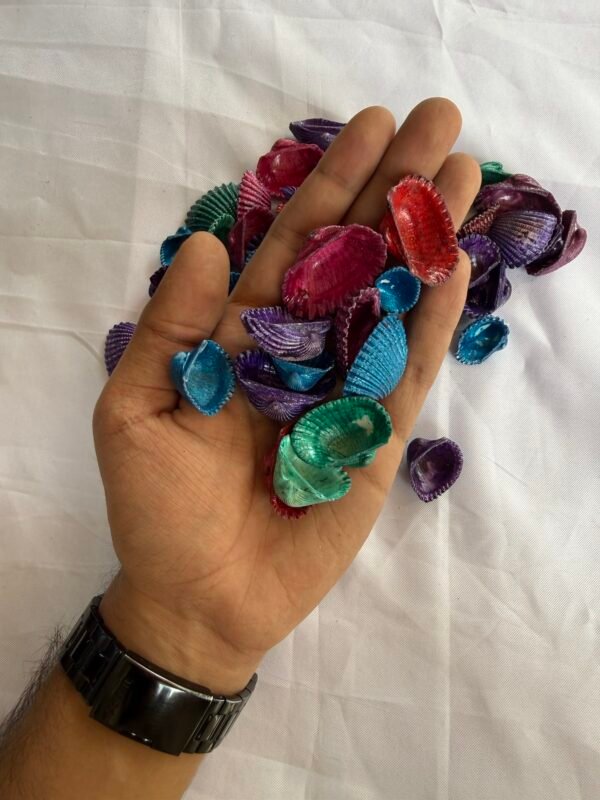 Colour shells (70-80 grams)