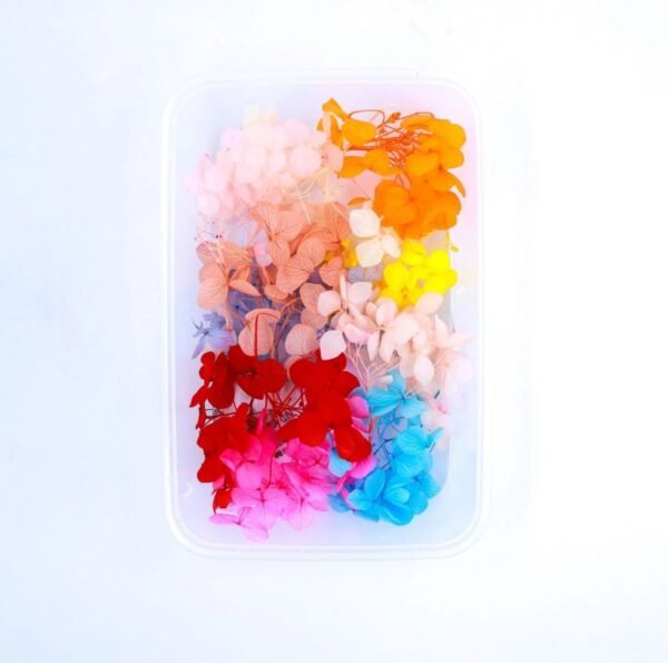 Multicolour Hydra Box