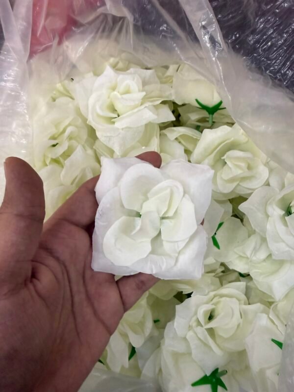 White Dry Rose(6Pc)