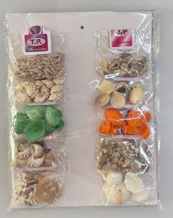 Assorted Shell Pack