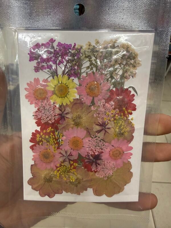 Pressed Flower