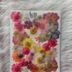 Pressed Flower (1)