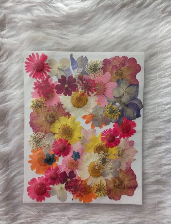 Pressed Flower (1)