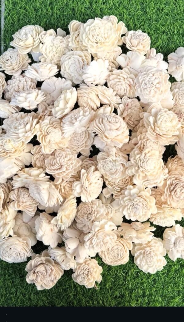 Sola Flower ( 6 Pcs )